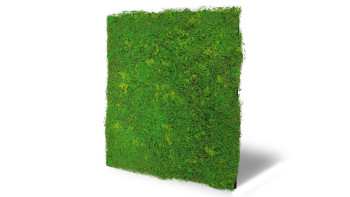 planeo Panneau acoustique - MixWall Moss Mood Light Green Fibre 52 x 52 cm | Mousse artificielle (PLMW-10211C)