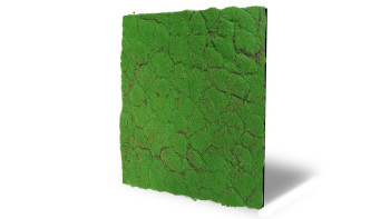 planeo Panneau acoustique - MixWall Moss Mood Forest Green 52 x 52 cm | Mousse d'art (PLMW-30121A)