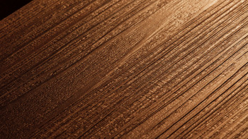 Project Floors Vinyle à coller - floors@home30 PW 3535/30 (PW353530)