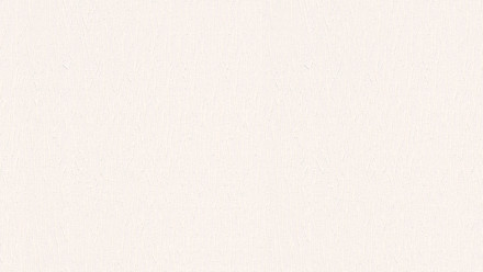 Papier peint blanc rayures classiques guide de style uni classique 2021 875