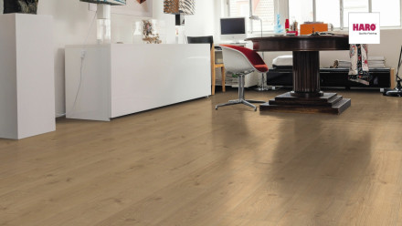 Haro Laminate Tritty 100 Gran Via 4V Silent Pro Oak Portland puro planche authentique