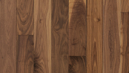 Parador Parquet - Trendtime 4 Noyer américain naturel (1257369)