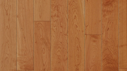 Parador Parquet - Trendtime 4 Cerisier américain naturel (1257371)
