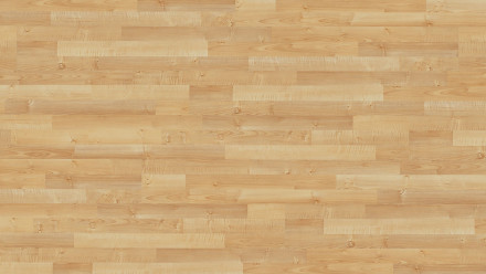 Parador Stratifié - Basic 200 - Érable naturel - Texture du bois - Bloc 3 frises