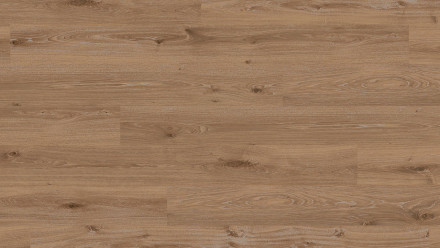 Parador Stratifié Classic 1050 Chêne chaulé foncé Texture brossée