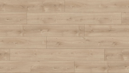 Stratifié Parador Trendtime 6 Oak Avant poncé texture naturelle 4V joint