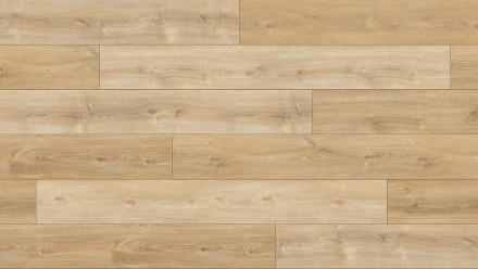 Stratifié Parador Trendtime 6 Oak Nova clair chaulé texture naturelle joint 4V