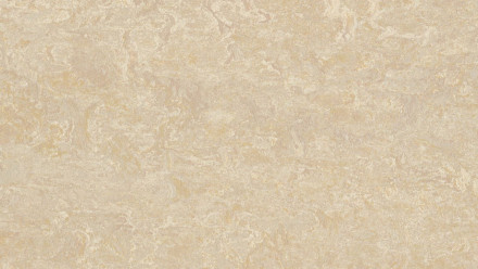 Forbo Linoleum Marmoleum Real - sable 2499 2.5