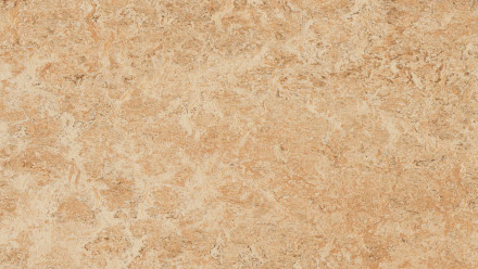 Forbo Linoléum Marmoleum Real - shell 3075 2.0