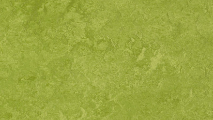 Forbo Linoléum Marmoleum Fresco - green 3247