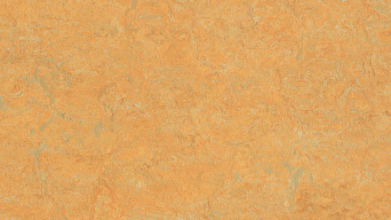 Forbo Linoleum Marmoleum Real - safran doré 3847 2.5