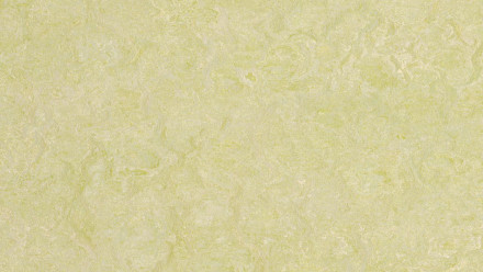 Forbo Linoleum Marmoleum Real - green wellness 3881 2.5