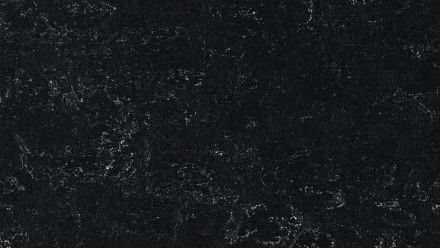 Forbo Linoleum Marmoleum Fresco - noir 2939 2.5
