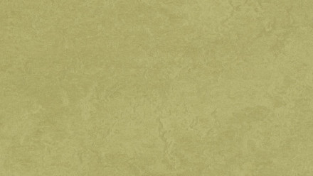 Forbo Linoléum Marmoleum Fresco - avocado 3265
