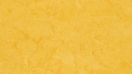 Forbo Linoléum Marmoleum Fresco - lemon zest 3251 2.5
