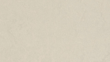 Forbo Linoléum Marmoleum Fresco - blanc noble 3257