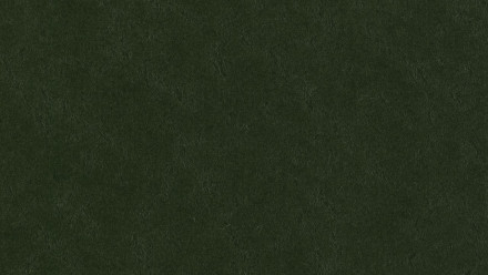 Forbo Linoléum Marmoleum Walton - bottle green 3359