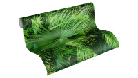 Papier peint vinyle nouveau bloc 2.0 A.S. Création feuilles de palmier modernes vert noir 001