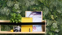 Papier peint en vinyle Greenery A.S. Création Modern green 802