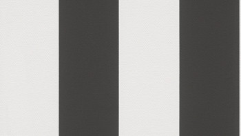 Papier peint vinyle Noir & Blanc 4 A.S. Création Modern Black White 213