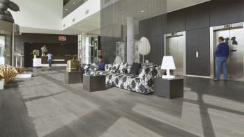 Forbo Allura Wood 55 Vinyle à coller - Greywashed Timber (63408DR5)