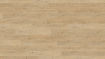 Wineo Sol PVC Rigide clipsable - 400 wood L Plain Oak Beige | isolation phonique intégrée (RLC281WL)