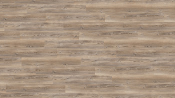 Wineo Sol PVC Rigide clipsable - 400 wood L Coast Pine Taupe | isolation phonique intégrée (RLC284WL)