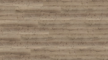Wineo vinyle à coller - 400 wood XL Comfort Oak Taupe | Grain synchronisé (DB300WXL)