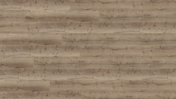 Wineo Sol vinyle multicouche - 400 wood XL Comfort Oak Taupe | isolation phonique intégrée (MLD300WXL)