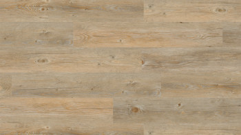 Project Floors Sols biologiques - ECO+ Collection ECO 3020/30 (ECO302030)