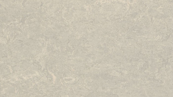 Forbo Linoléum Marmoleum Real - béton 3136 2.0