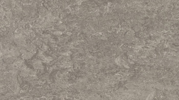 Forbo Linoléum Marmoleum Real - serene grey 3146 2.0