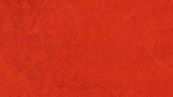 planeo linoleum clipsable Linoklick - Écarlate - 333131