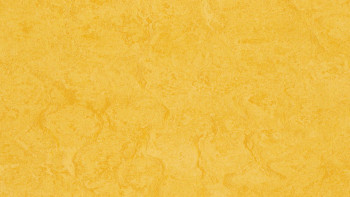 Forbo Linoléum Marmoleum Fresco - lemon zest 3251 2.0