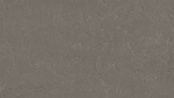 Forbo Linoleum Marmoleum Concrete - météorite 3705