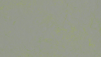 Forbo Linoléum Marmoleum Concrete - green shimmer 3736