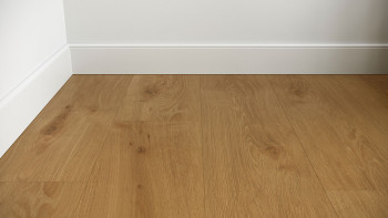 planeo Vinyle à coller - Objet Woodline Chêne Classic | Grain synchronisé (PLDD2570-ECL)