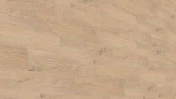 planeo DekoWall - Vinyle mural Tiny Plain Oak Beige | Gaufrage synchrone (DB281WXS-WV)