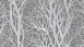 Papier peint vinyle Life 4 A.S. Création Noeuds modernes gris métallisé 943