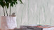 Papier peint de maison de campagne Exotic Life A.S. Création country style feuille optique vert blanc 971