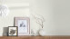 Papier peint Dream Again Michalsky Living plain colors cream grey white 171