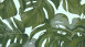 Rêve de papier peint Michalsky Living Palm Leaves Blue Green 193