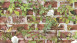 Papier peint pierre Papier peint rouge pierres modernes fleurs & nature Murs authentiques 2 721