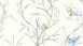 papier peint en vinyle bleu fleurs modernes & nature Colibri 231