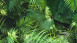 Panneau de conception de papier peint en vinyle panneau vert moderne fleurs et images de la nature panneau pop.up 3D 441