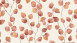 Papier peint vinyle Greenery A.S. Création country style eucalyptus blanc orange rouge 443