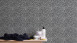 papier peint en vinyle noir moderne uni trendwall 201