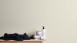 papier peint vinyle blanc moderne uni trendwall 211