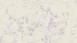 Papier peint vinyle violet rétro fleurs classiques & nature romantico 245