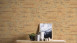 papier peint en vinyle orange moderne classique uni Elements 151